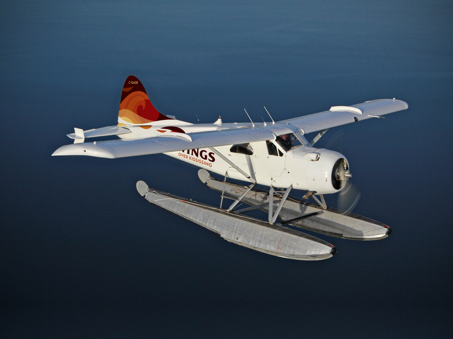 1920x1440_Wings_Beaver
